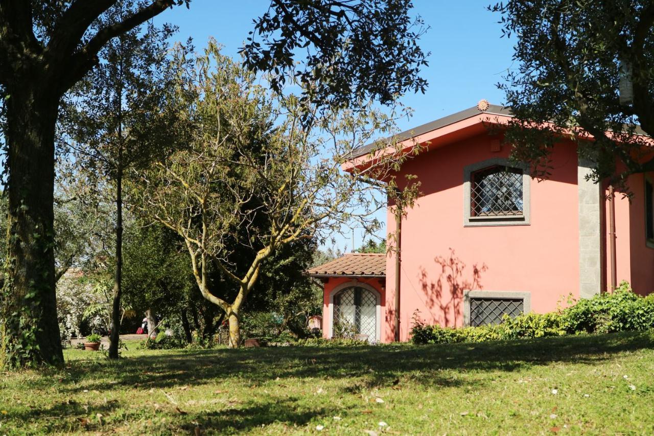 B&B Ai Glicini - Castelli Romani Marino Εξωτερικό φωτογραφία