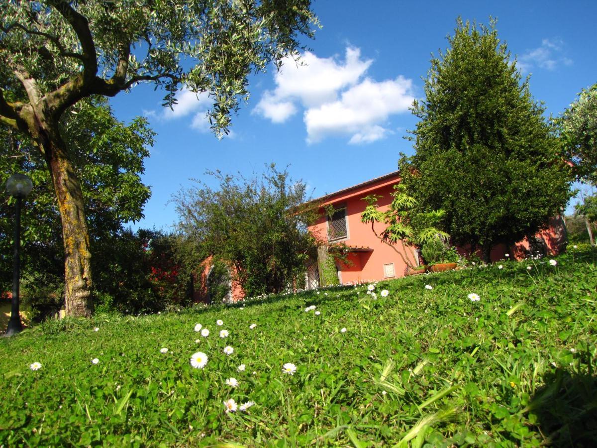 B&B Ai Glicini - Castelli Romani Marino Εξωτερικό φωτογραφία