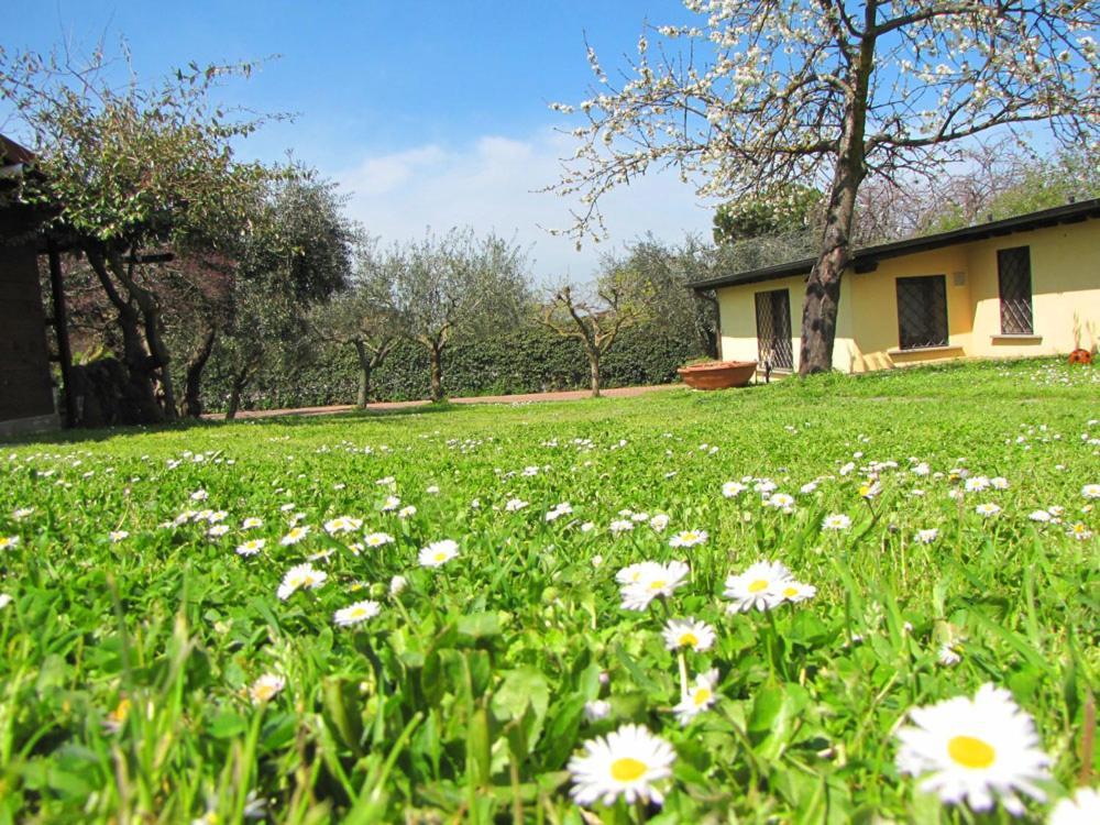 B&B Ai Glicini - Castelli Romani Marino Εξωτερικό φωτογραφία