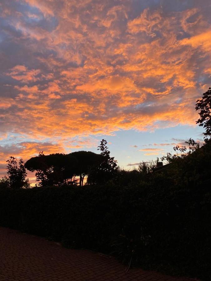 B&B Ai Glicini - Castelli Romani Marino Εξωτερικό φωτογραφία