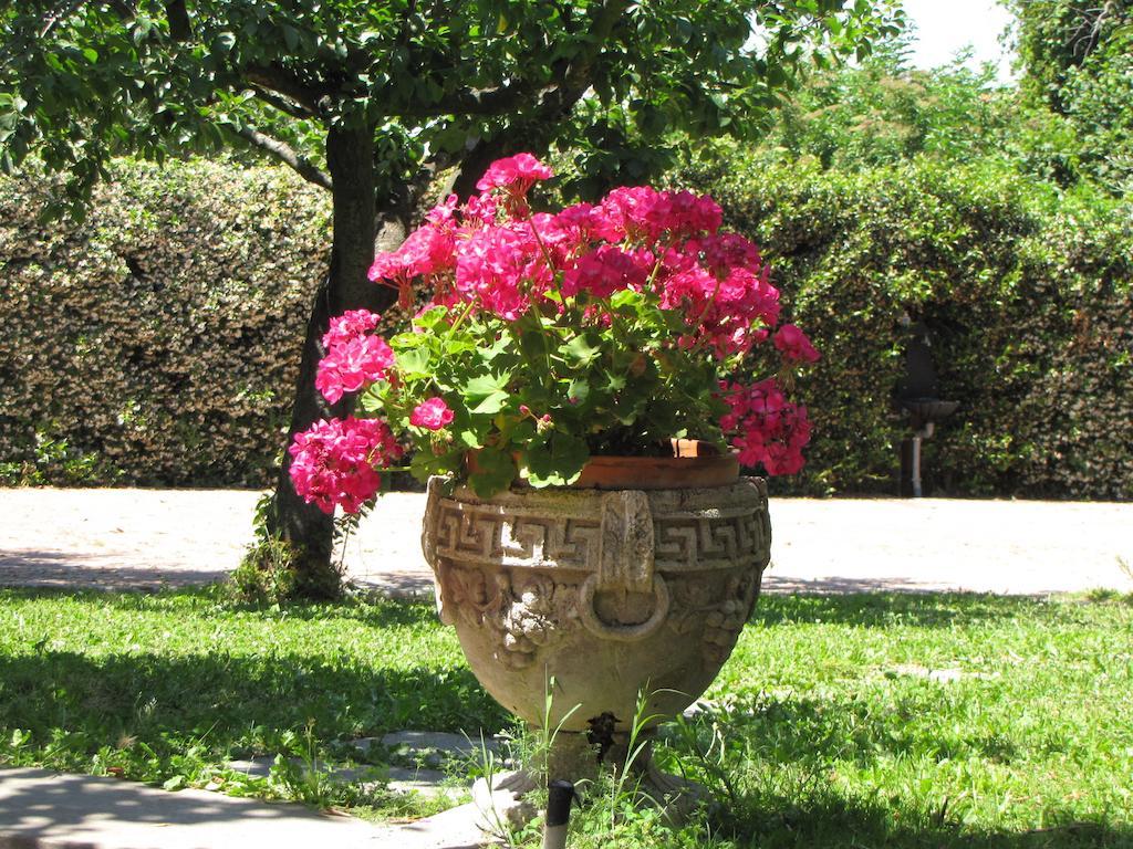 B&B Ai Glicini - Castelli Romani Marino Εξωτερικό φωτογραφία