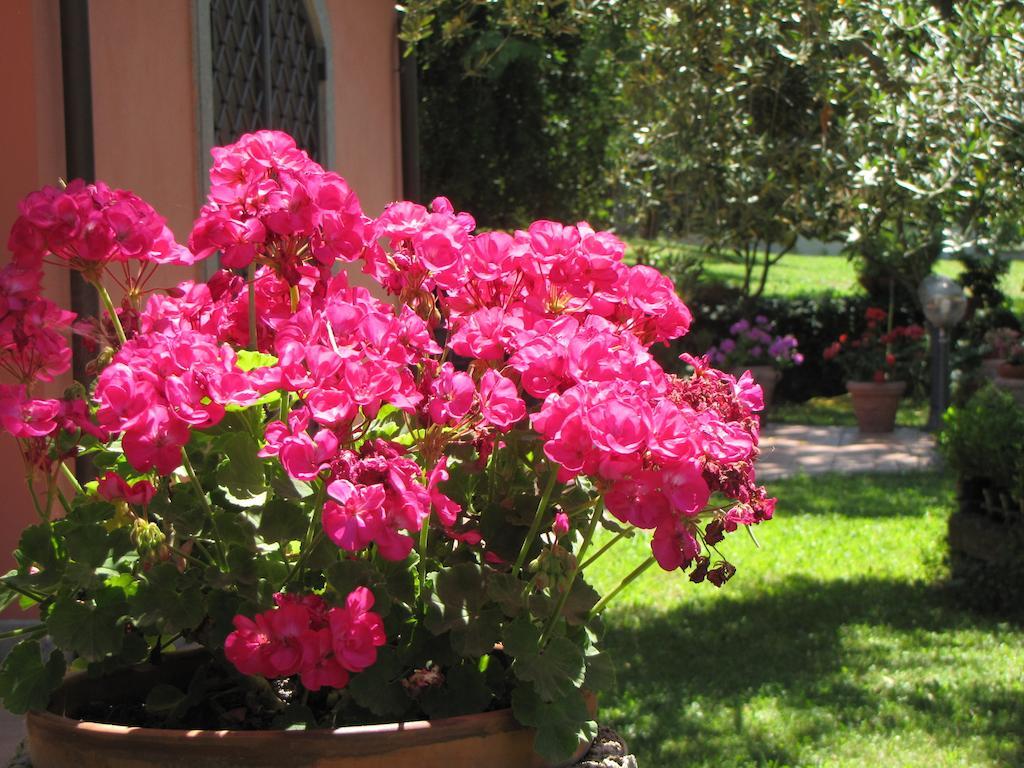 B&B Ai Glicini - Castelli Romani Marino Εξωτερικό φωτογραφία