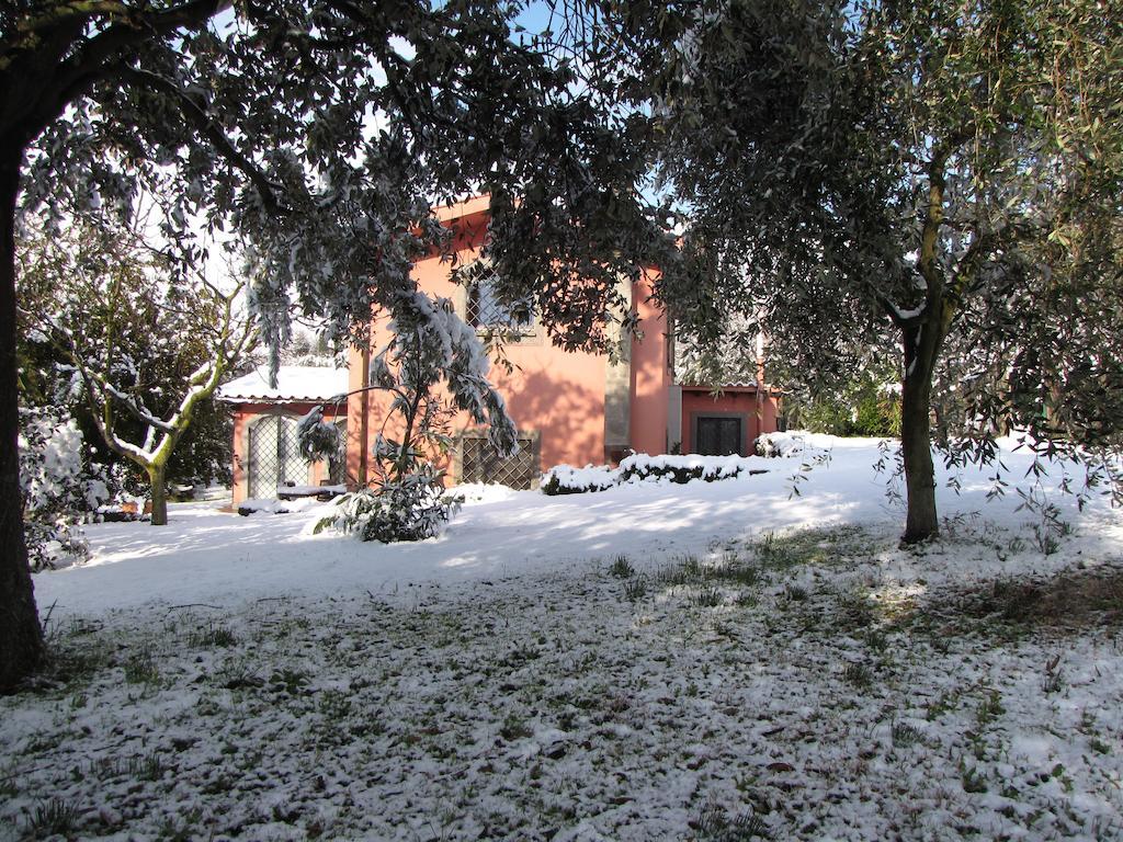B&B Ai Glicini - Castelli Romani Marino Εξωτερικό φωτογραφία