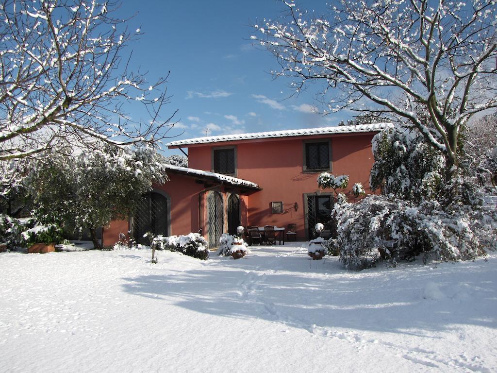 B&B Ai Glicini - Castelli Romani Marino Εξωτερικό φωτογραφία